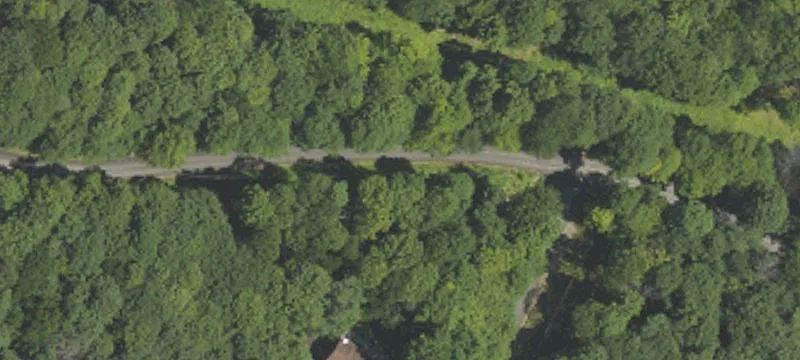 Wooded Building Lot on Ridge
