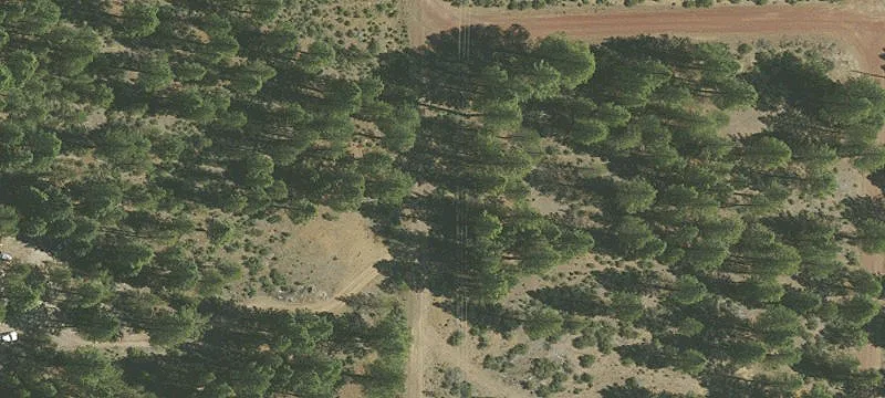 Treed River-Adjacent Residential Lot