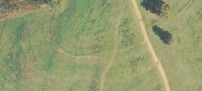Agricultural Horse and Livestock Farm