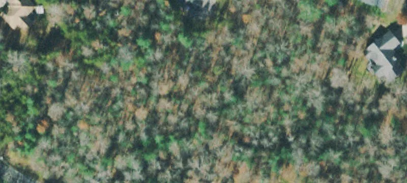 Residential Cul-de-Sac Building Lot