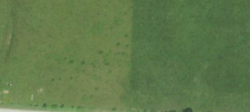 Recreational Hunting Land with Ponds
