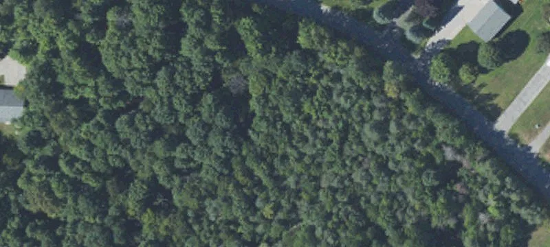 Wooded Building Lot on Paved Road