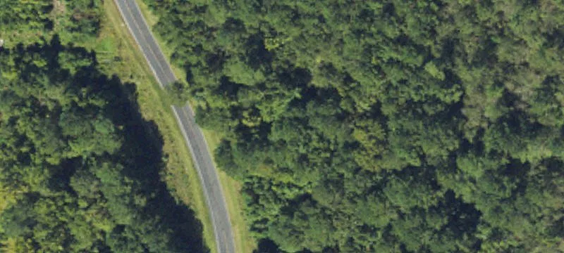 Forested Residential Land Lot