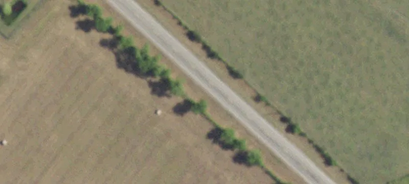 Rural Agricultural Tract with Utilities