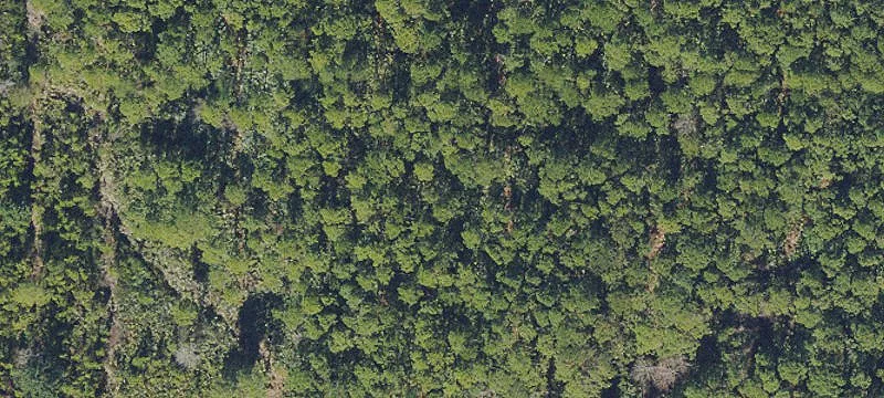 C-3 Zoned Commercial Land Site