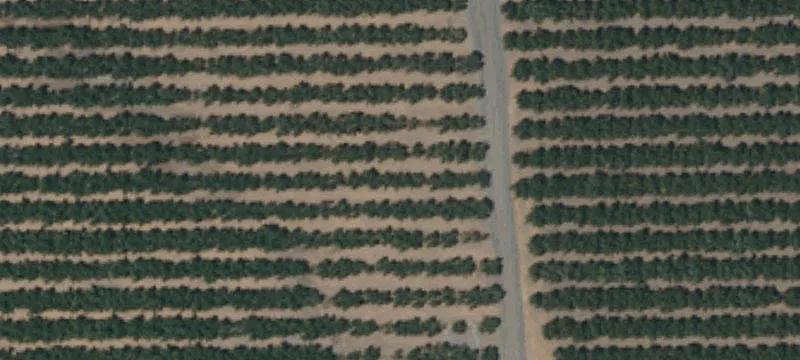 Multi-Ranch Agricultural Land Portfolio