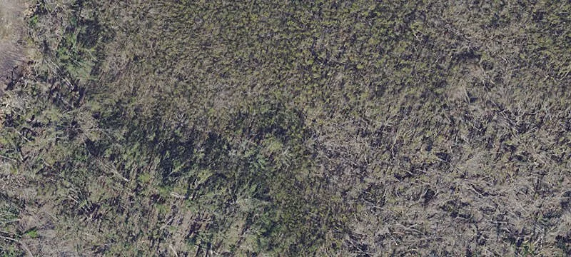 Waterfront Wetland Land Parcel