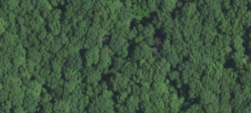 Gently Sloped Residential Land Lot