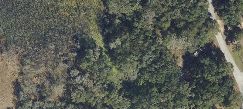 Residential Land Lot Backing Marshland
