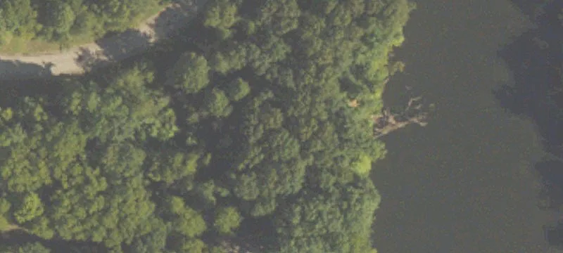 Wooded Residential Lot