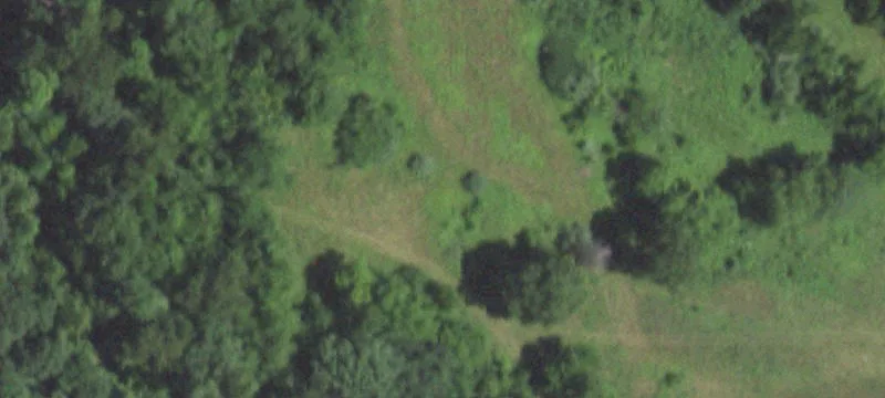Wooded Development Acreage