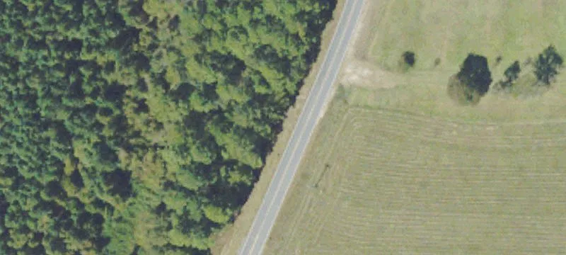 Recreational Hunting Land Tract