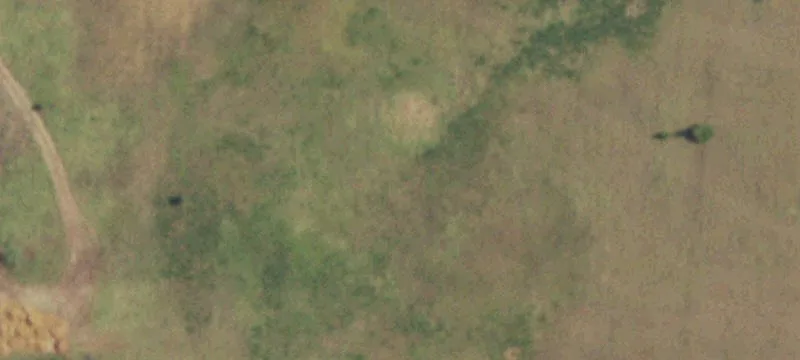 Road-Front Acreage Tract