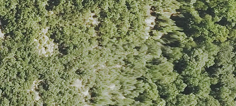 Wooded Cul-de-Sac Home Site