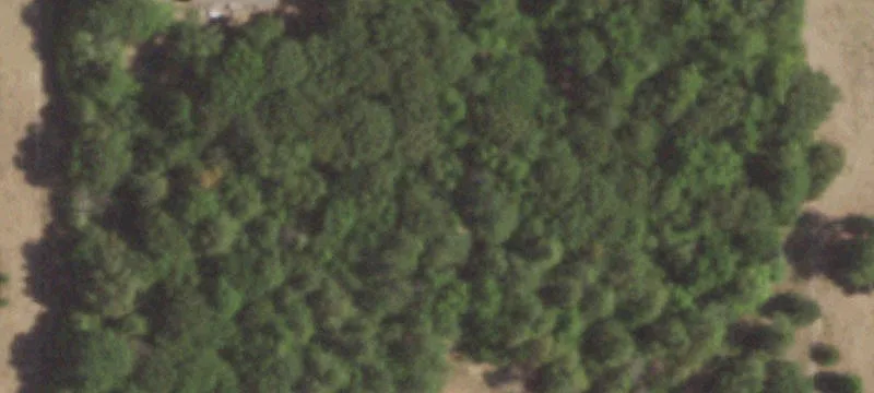 Fenced Pasture and Timber Tract