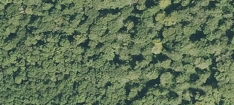 Recreation Land with Off-Grid Potential