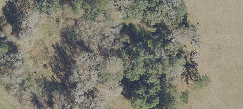Equestrian-Ready Land Parcel