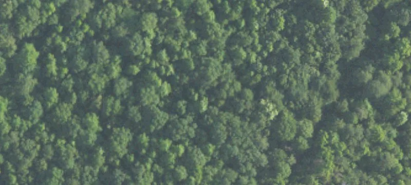 Agricultural Land Parcel