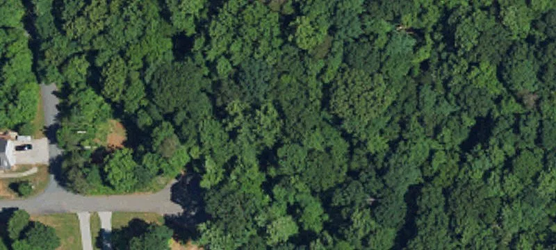 Wooded Cul-de-Sac Home Lot