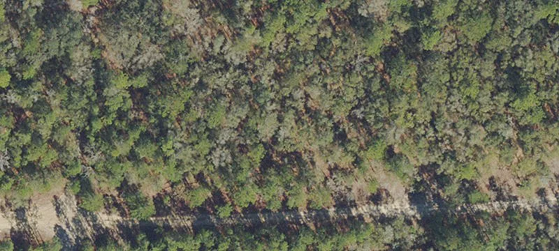 Vacant Residential Lot
