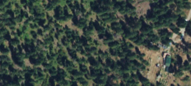 Mountain-View Recreational Land