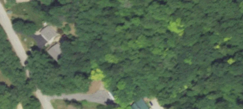 Wooded Residential Land Lot