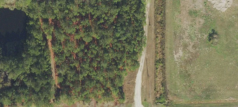 Commercial Land Lot