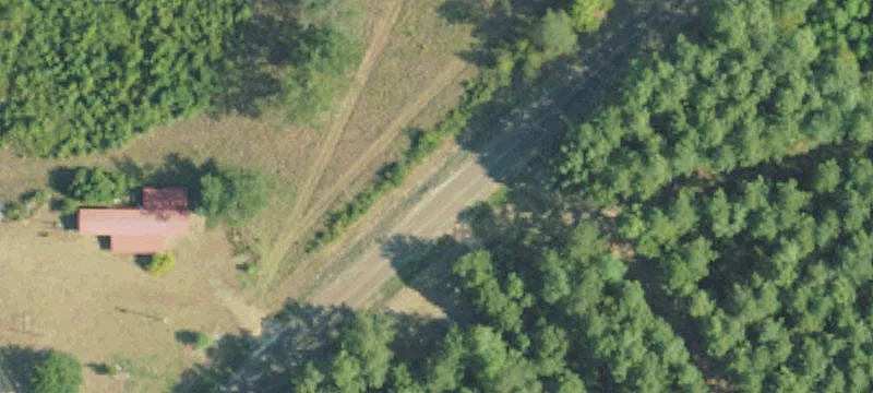 Recreational Hunting Tract with Camp