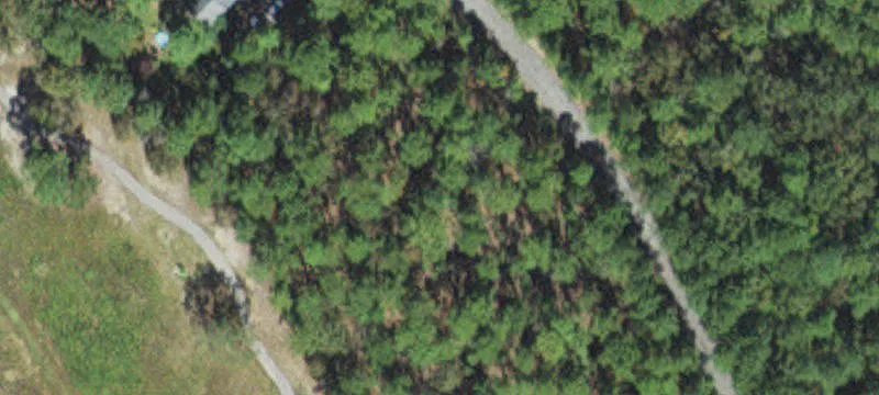 Wooded Golf Front Residential Lot