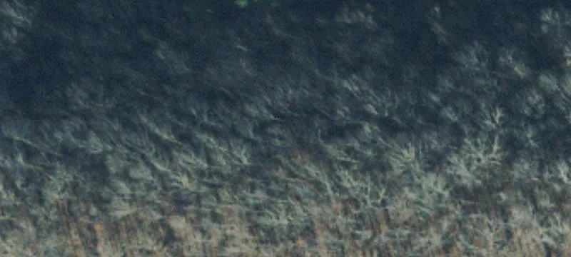 Agricultural Land with Barndominium