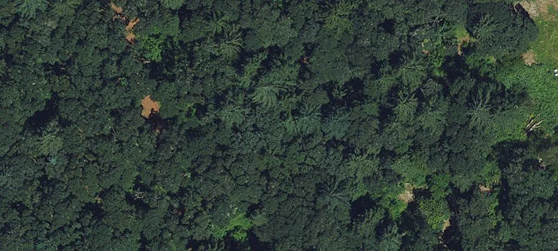 Agricultural Land with Water Access