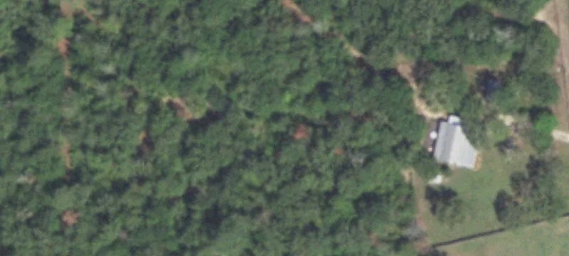 Recreational Land Tract with Road Access