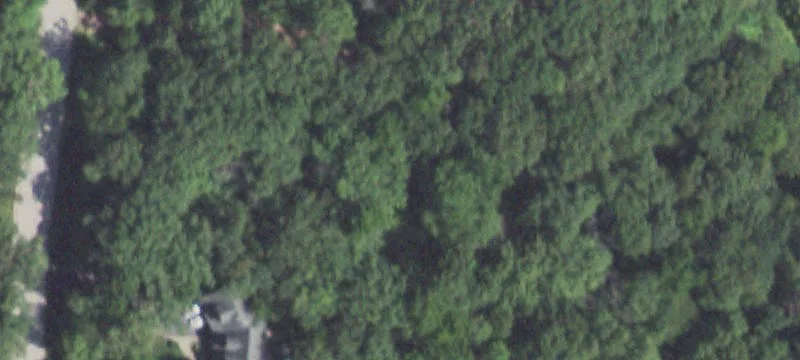 Wooded Residential Homesite