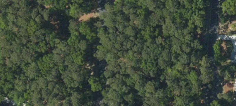 Buildable Lot in Gated Community