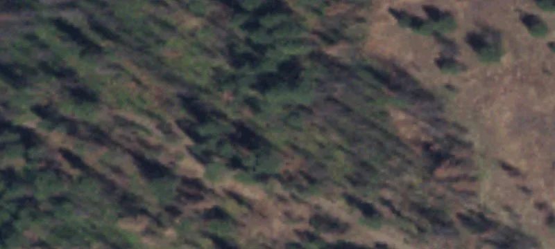 Forested Recreation Land Parcels