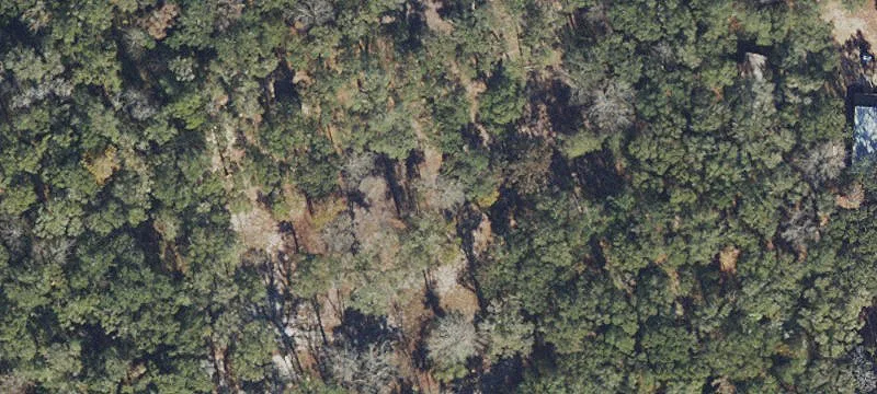 Fenced Build-Ready Land Parcel