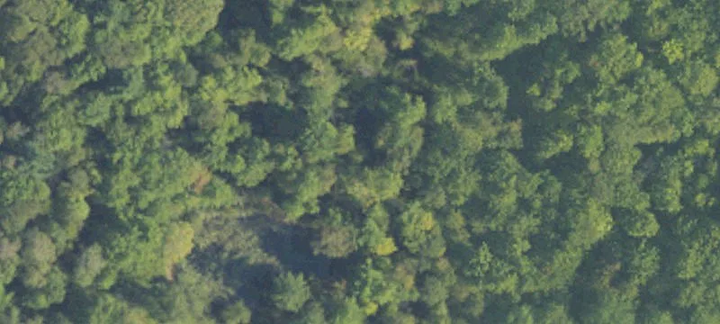 Hunting and Development Land Parcel