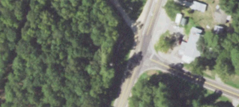Unrestricted Wooded Land Parcel