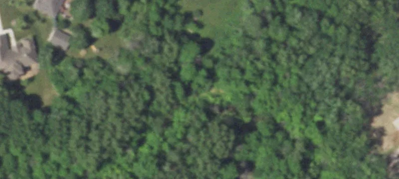 Wooded Land Parcel with Creek