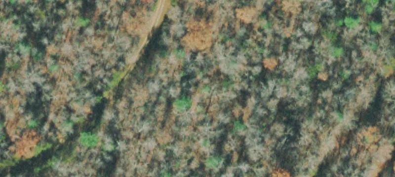 Residential Land Lot
