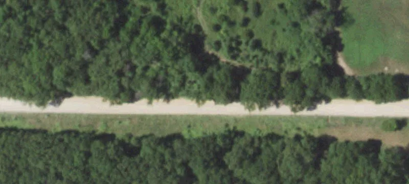 Forested Acreage with Road Access