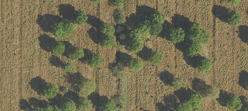 Transitional Agricultural Land Parcel
