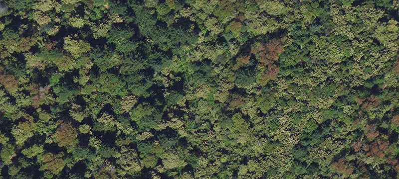 Recreation Land with Marketable Timber