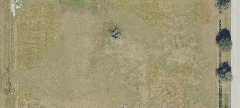 High-and-Dry Buildable Acreage