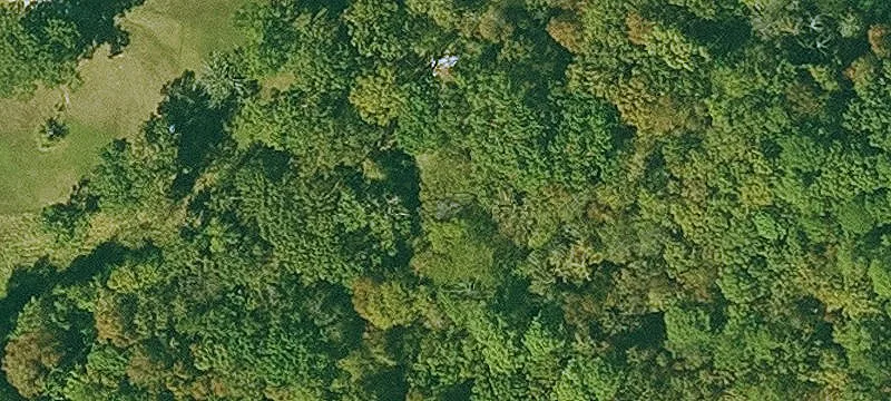 Timber Development Land Tract