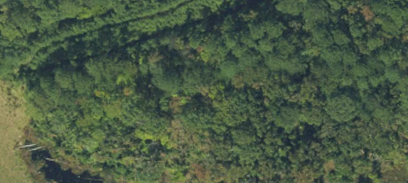 Wooded Community Development Lot