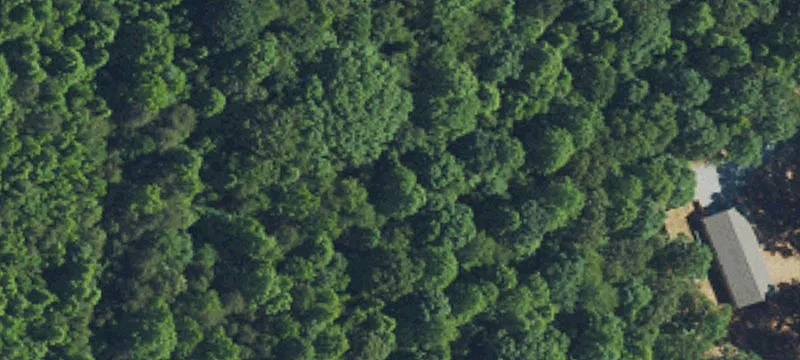 Agricultural Land Parcel