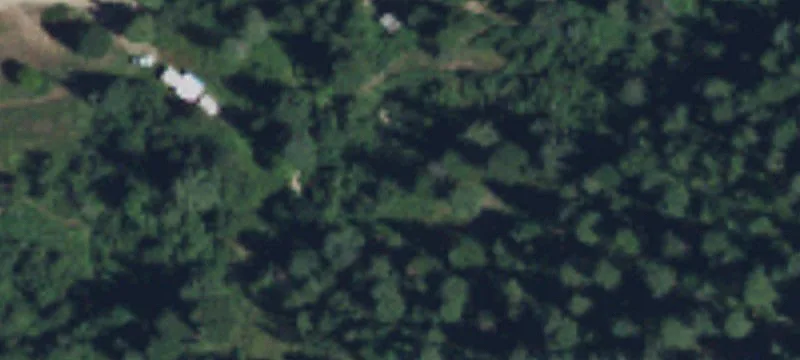 Forested Residential Land Lots
