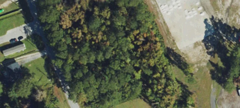 Residential Homesite with Trees