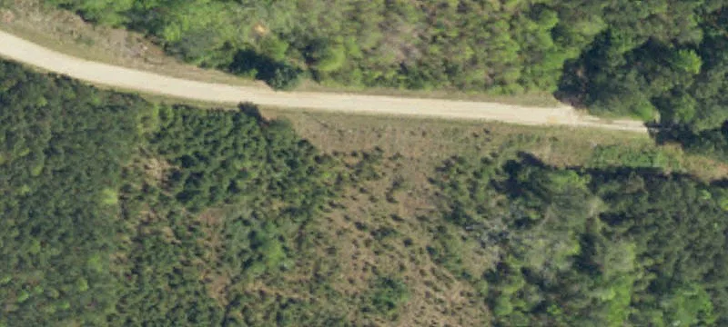 Wooded Residential Development Land